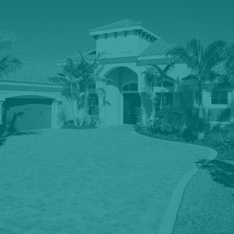 Citrus Call To Action