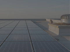 Roof solar panel system with bird nesting