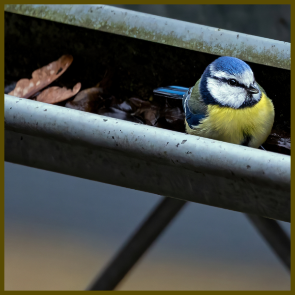 Home Protection - Image 2 - New.png