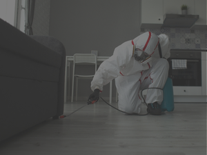 Pest control expert in PPE spraying home
