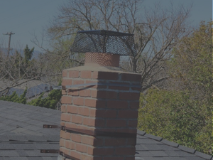 Chimney with cover to prevent pests