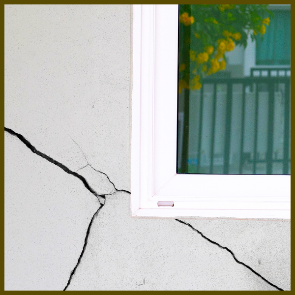 Home Protection - Image 2.png