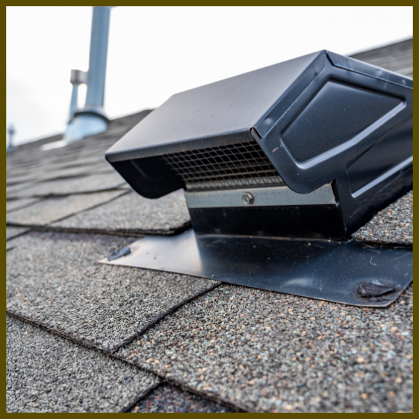 Home Protection - Image 3.png