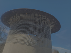 Chimney with protective wire