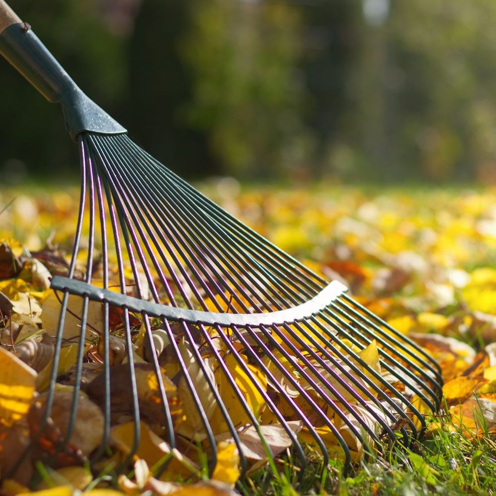 a rake with fall leaves