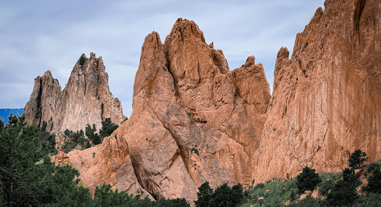 Copy of Background Images (76).png