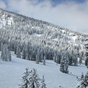 PAGOSA SPRINGS
