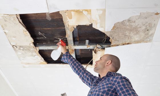 person cleaning mold out of ceiling
