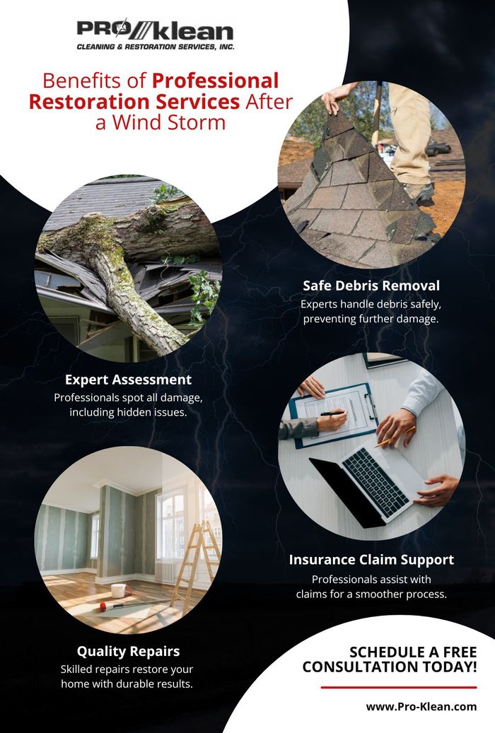 infographic of The Benefits of Professional Restoration Services After a Wind Storm