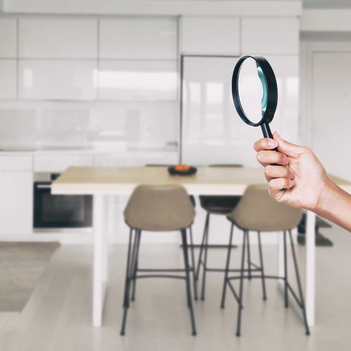 person holding magnifying glass in kitchen