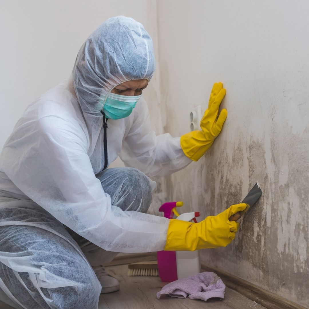 professional scraping mold off wall