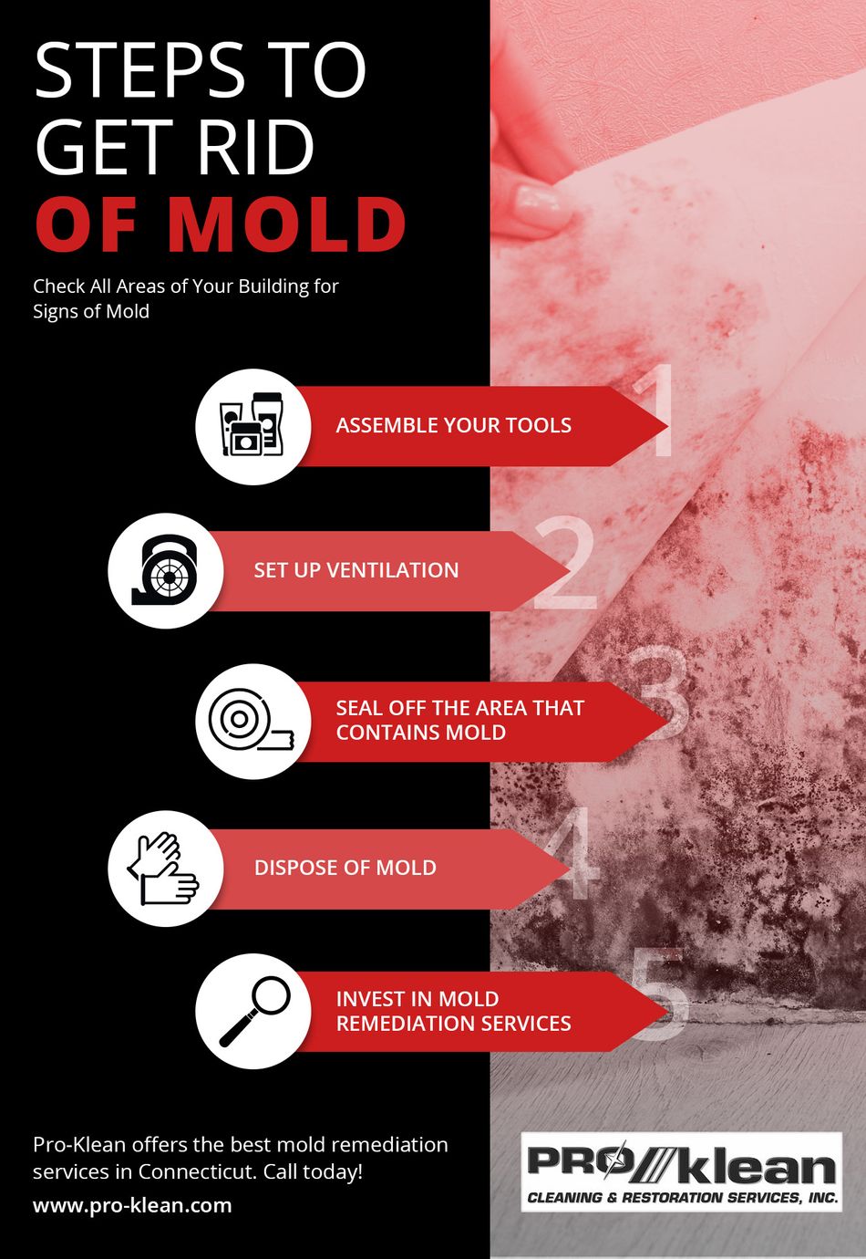 Steps to get rid of mold.jpg