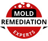 MOLD.png