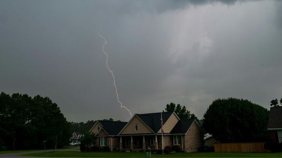 Pro-Klean's Comprehensive Approach to Wind and Storm Damage Restoration Part 2.jpg