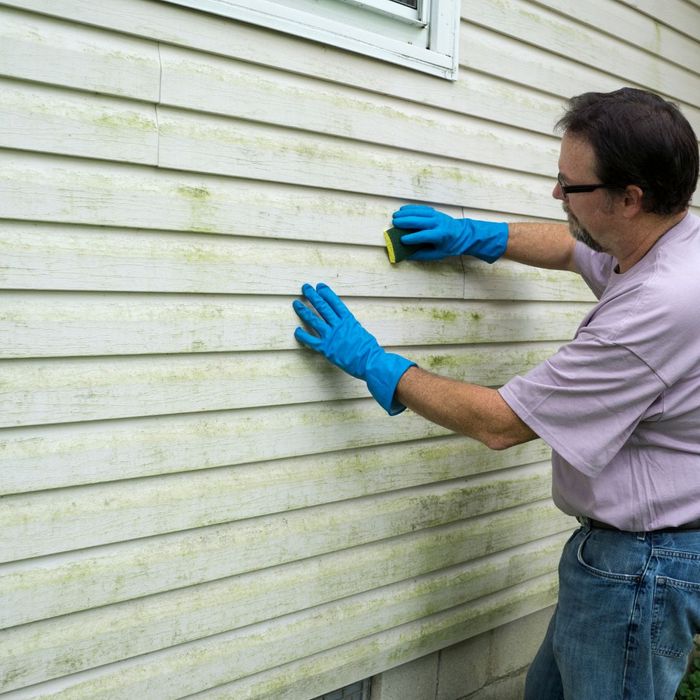 Pro-Klean's Comprehensive Approach to Wind and Storm Damage Restoration Part 2 3.jpg