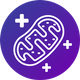 Mitochondria-Boosting Formula - icon.png