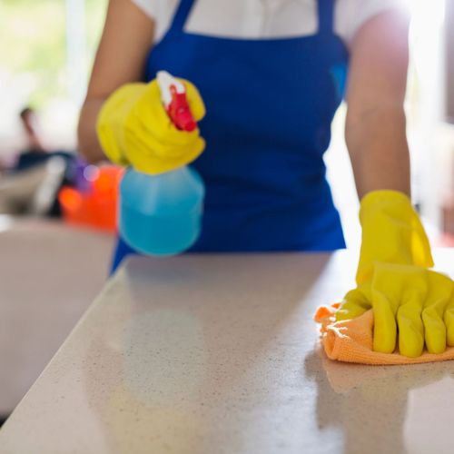 woman cleaning her kitchen