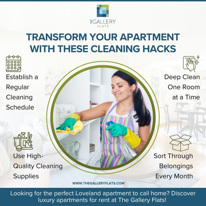 Infographic that lists apartment cleaning hacks