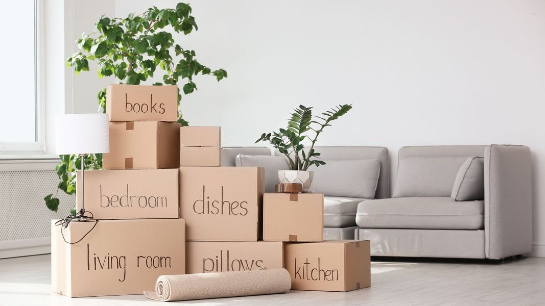 labeled boxes in a new apartment