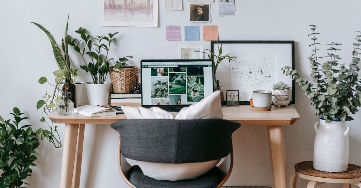 plants by a computer in an apartment