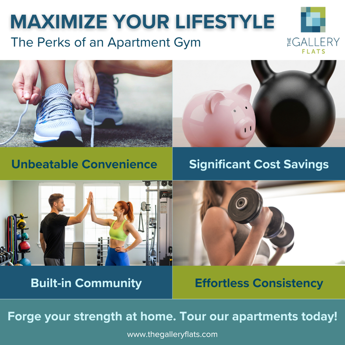 infographic that lists the perks of an apartment gym infographic that lists the perks of an apartment gym