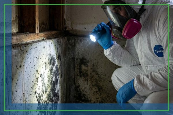 professional in a Tyvek suit inspecting mold