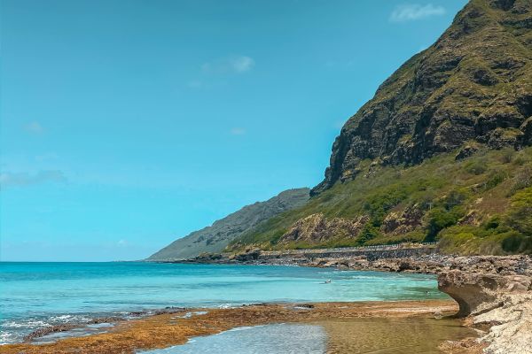 hawaii landscape