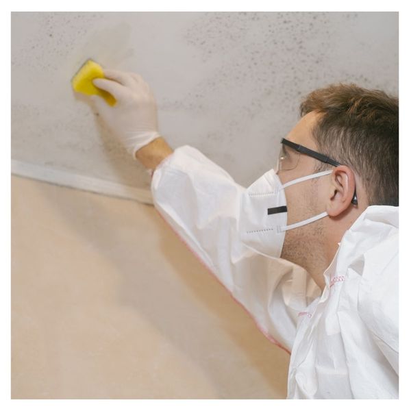 Mold being scrubbed from a roof