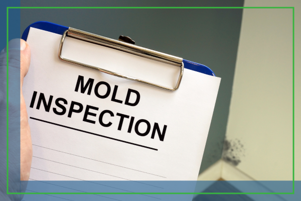 Mold Remediation Restoration Services in Kahala2.png