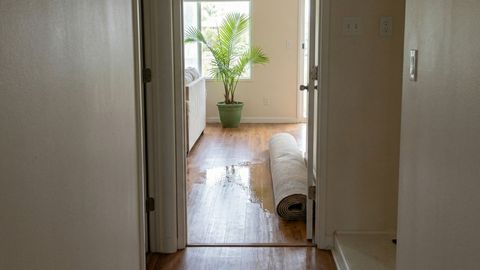 water damage under rolled up rug water damage under rolled up rug