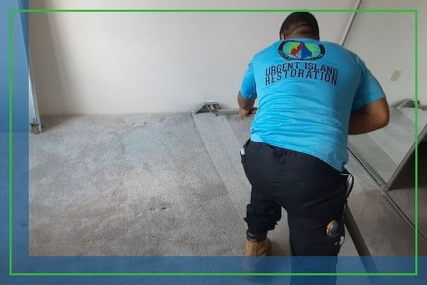 Urgent Island Restoration employee cleaning carpets 