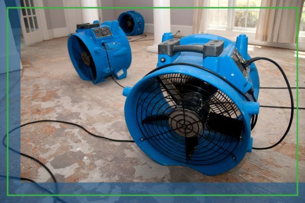 dehumidifiers during water mitigation