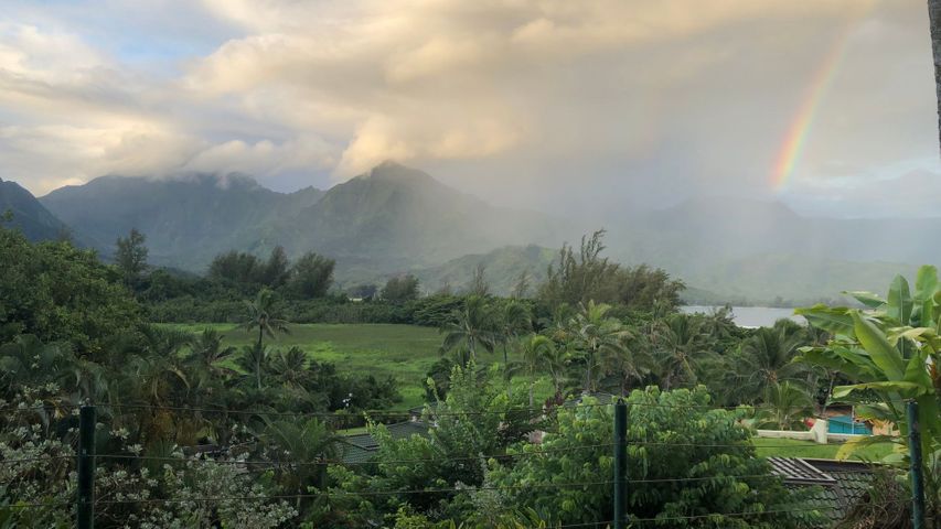 Hawaii rain. Hawaii rain.