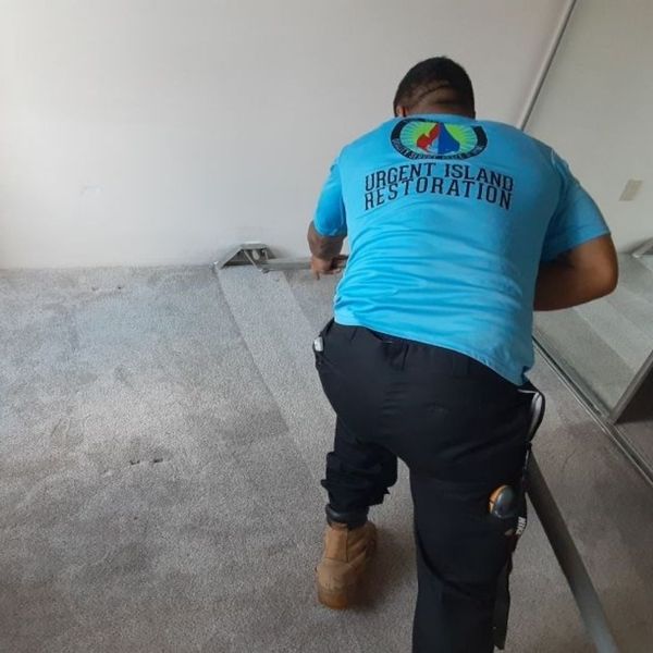 professional removing water from carpeted area