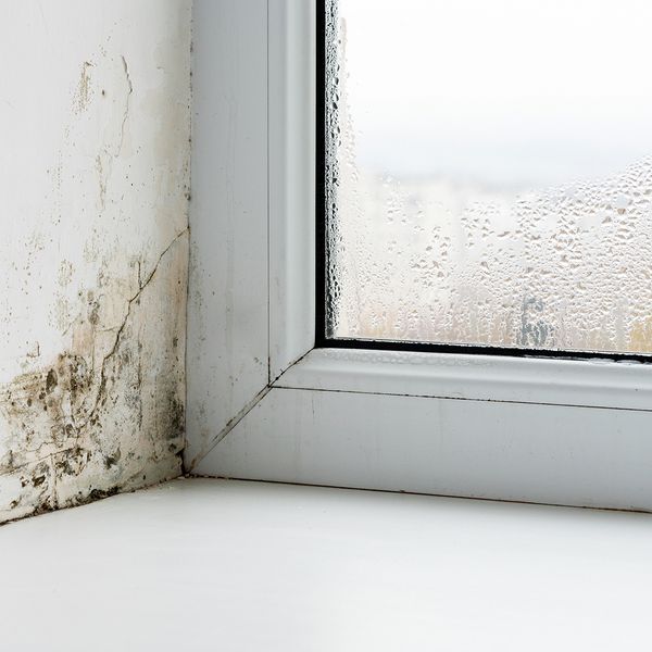 AdobeStock_403067152.jpeg