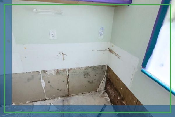 mold on drywall in bathroom