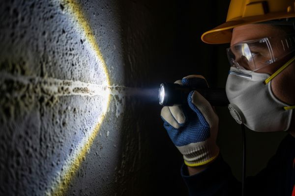 Discovering Mold Discovering Mold