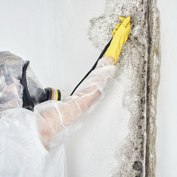 What Is the Difference Between Mold Removal and Mold Remediation_ 4.jpg