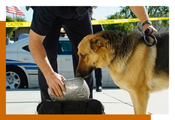 K9 Detection for Narcotics & Contraband 3.png