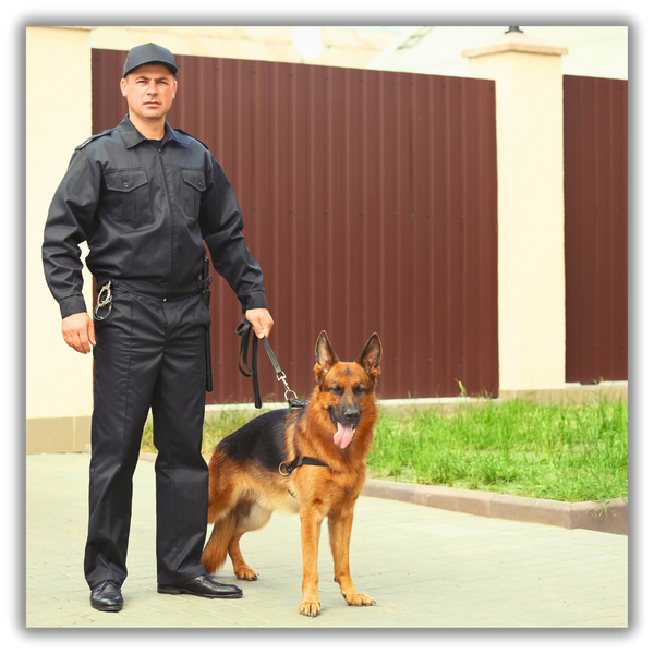 The Future of K9 Detection Services in Security 3.png