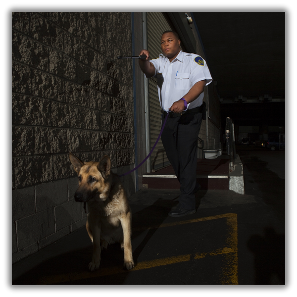 Guard dog getting instructions