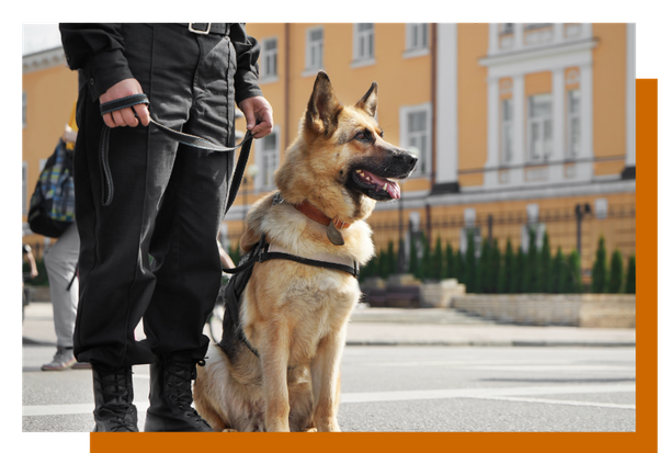 K9 Detection for Narcotics & Contraband 1.png