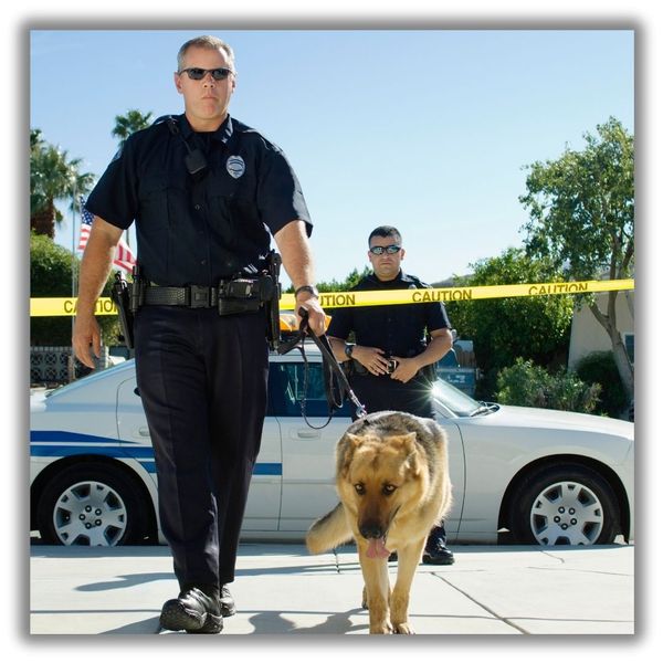 Officer and police K9 arrive on scene Officer and police K9 arrive on scene