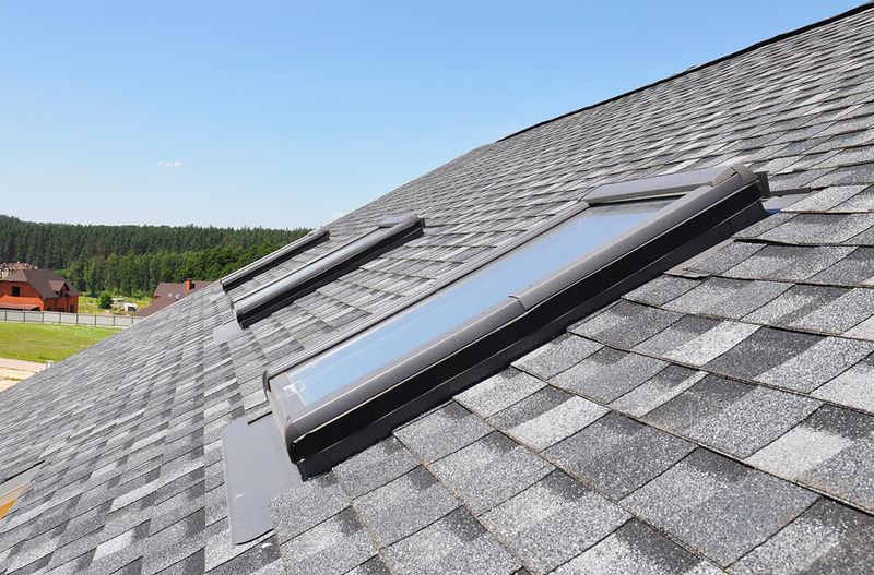 roof with skylights