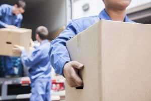 Movers carrying boxes