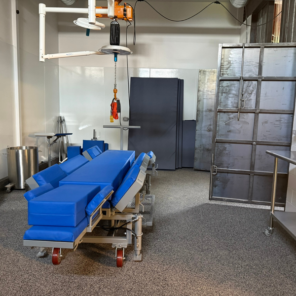 How to Choose The Right Surgeon for Your Horse's Needs - 3.png