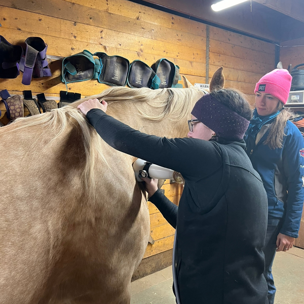 How to Choose The Right Surgeon for Your Horse's Needs - 2.png