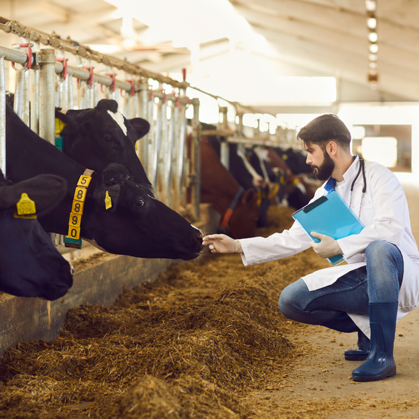 A New Approach to Large Animal Medicine3.png
