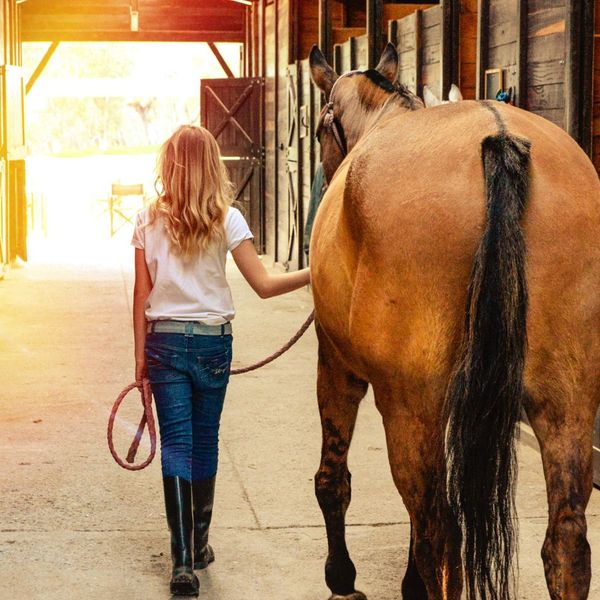 a woman leading a horse out of a barn Bringing Veterinary Expertise Directly to Your Farm (2).jpg