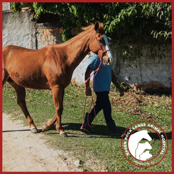 Deworming3.jpg